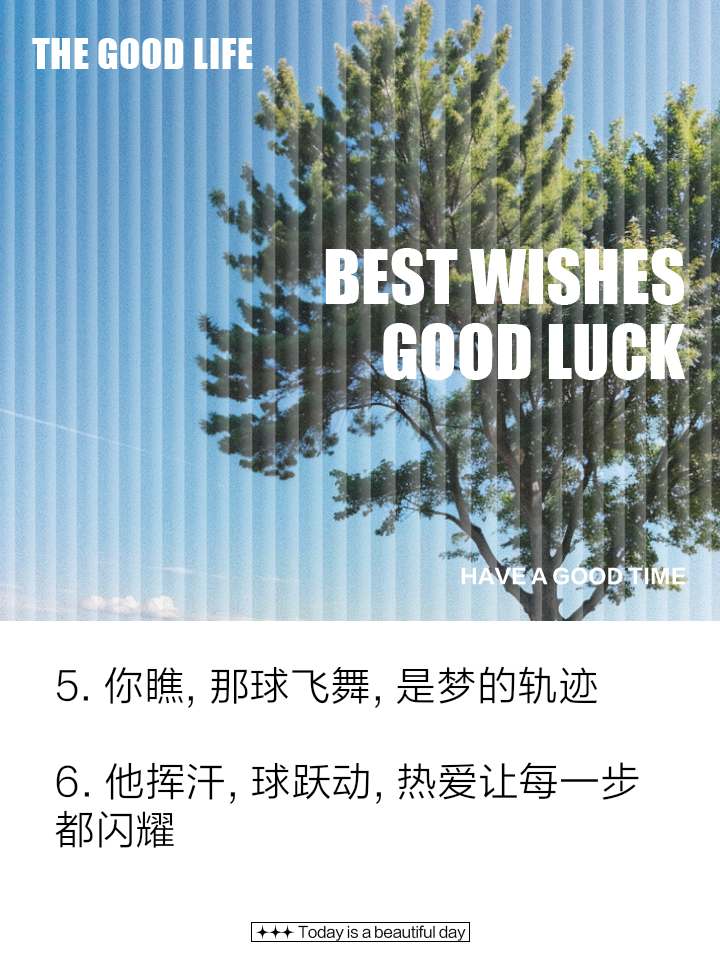 昂首挺胸，投身擂台全力以赴，赛场风云变幻的简单介绍
